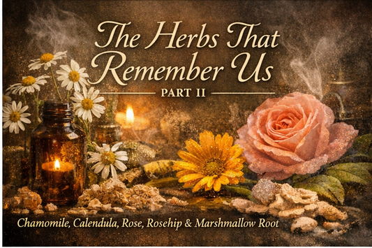 The Herbs That Remember Us - Part II