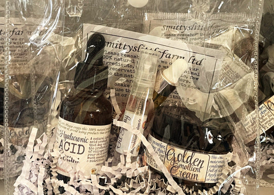 Not Just For Christmas! All Occasion Great Little Gift Bags $25 each!