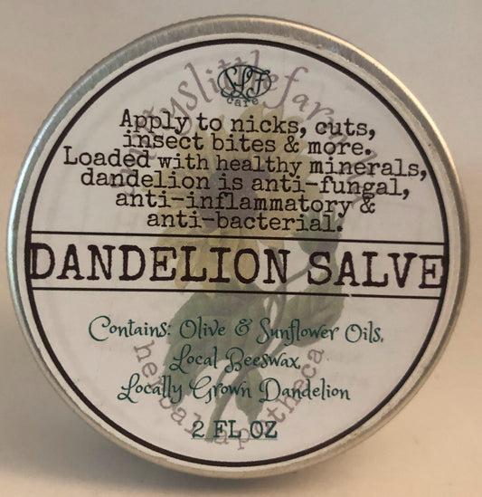 Handy Dandy Salve (formerly Dandelion Salve)