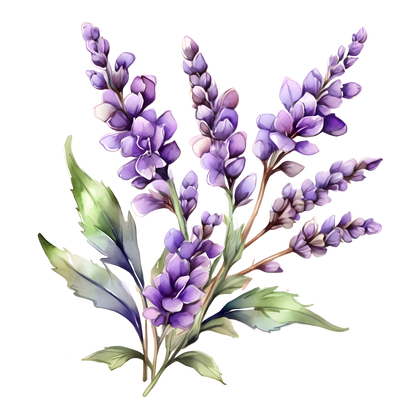 Plant-Derived Hydrosols Steam-Distilled Botanical Waters - Small Batch, Local Ingredients